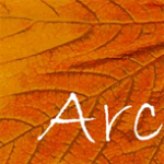 Partner - Arc