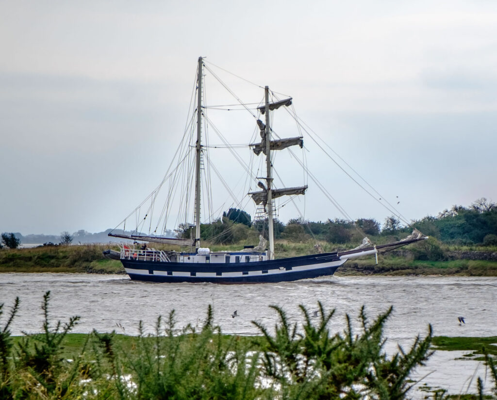 Annan Harbour Festival 2024