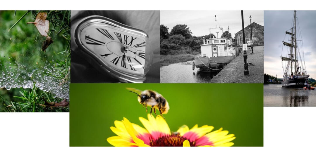 Join Annan’s New Photography Group!