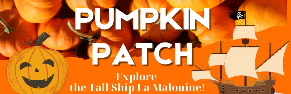 Pumpkin Patch 2024